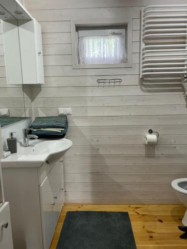 a bathroom with a sink and a toilet and a window at Agroturystyka nad Jeziorem Orłowskim in Wielgie