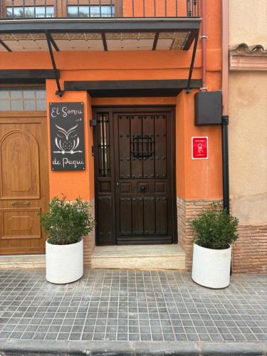 two potted plants sitting in front of a door at El Somni de Paqui Apartamentos Boutique Only Adults in Alfafara