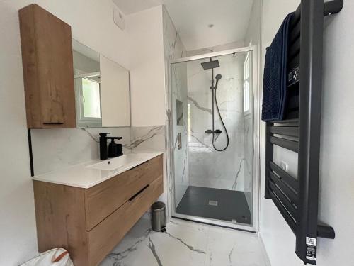 a bathroom with a shower with a sink and a mirror at Bidart, maisonnette sur les Pyrénées in Bidart