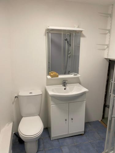 a bathroom with a toilet and a sink at Gîte de la cathédrale in Condom