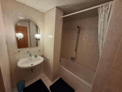 a bathroom with a sink and a shower at FW Körner in Zwiesel