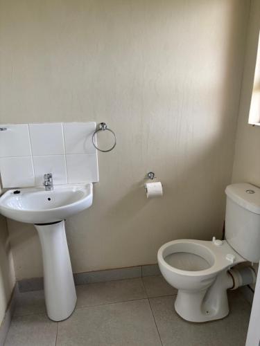 a bathroom with a toilet and a sink at Hlalanathi Lodges - Wagendrift Farm in Estcourt