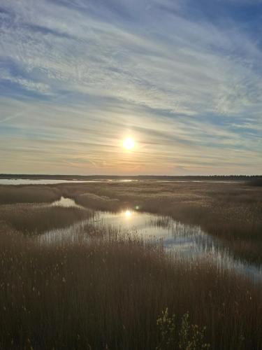 a sunset over a body of water with the sun in the sky at Monikas in Lapmežciems