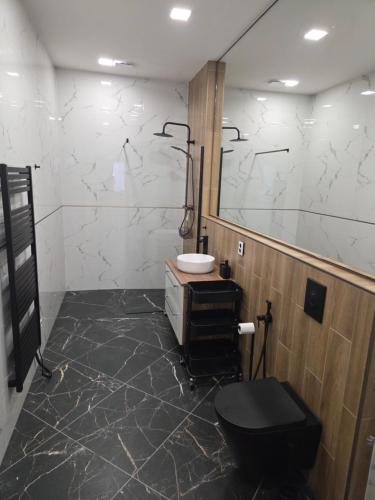 a bathroom with a toilet and a sink and a mirror at Apartmán Square Lipno in Horní Planá