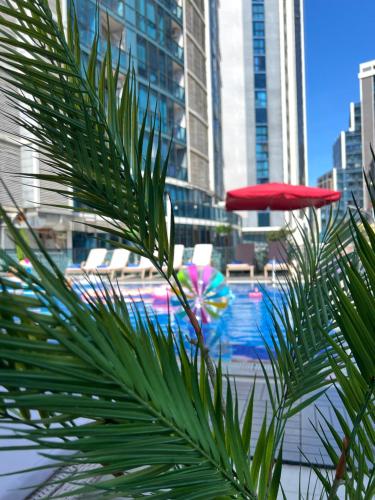 a palm tree in front of a pool with a red umbrella at New Wave Hotel in Batumi