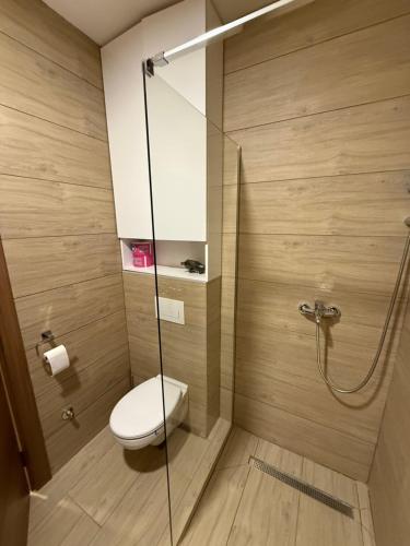 a bathroom with a toilet and a glass shower at Kokolino in Irig