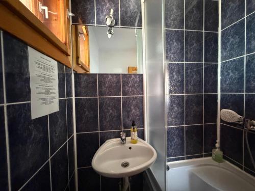 a bathroom with a sink and a bath tub at Casa Lav in Sinaia