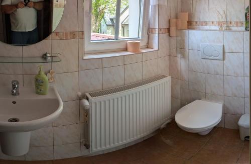 a bathroom with a sink and a toilet and a mirror at penzion ŽEROTÍN in Staré Město