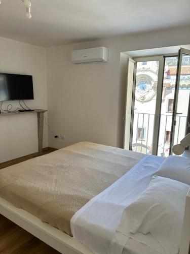 toledo 406 suite
