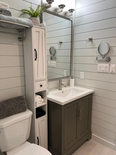 a bathroom with a sink and a mirror and a toilet at Tobermory Tides bed and breakfast in Tobermory