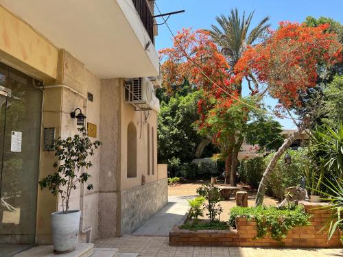 a building with trees and plants in a courtyard at Maison de Lama - Expat friendly, AirCon, Garden access in Cairo