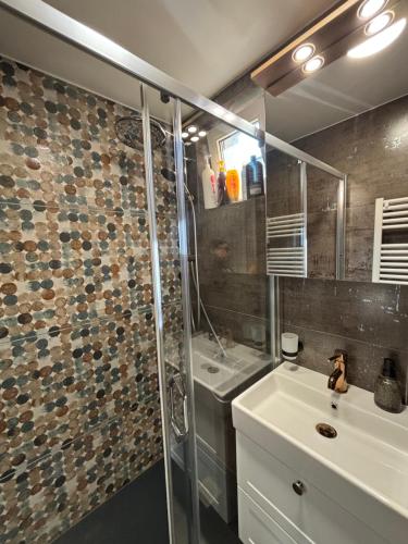 a bathroom with a shower and a sink at Ralfi in Alba Iulia