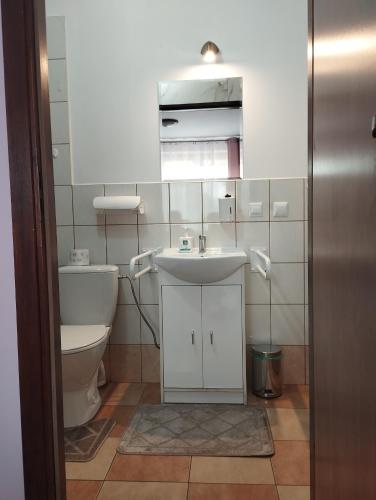 a bathroom with a sink and a toilet at Pokoje gościnne u Antka in Krynki