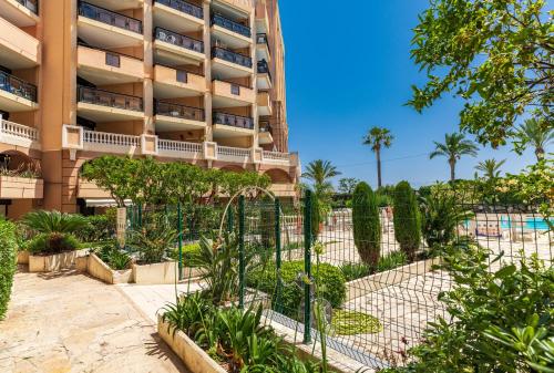 La Palme d'Azur - Cannes