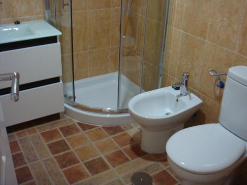 y baño con aseo, ducha y lavamanos. en Apartamento Caballo Sherry, en El Puerto de Santa María