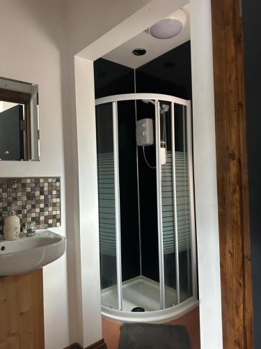 a bathroom with a shower and a sink at The Upper Nest in Hereford