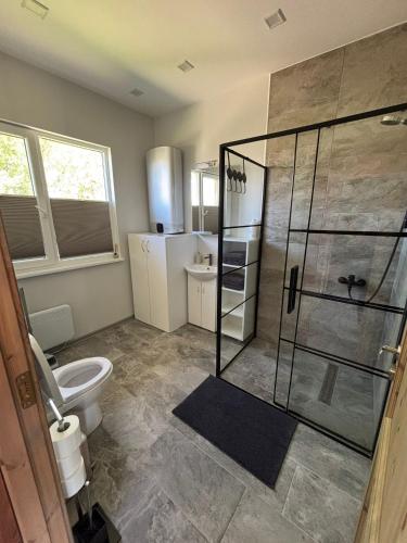 a bathroom with a toilet and a glass shower at Dzintarjūras Namiņš 36 in Šķēde