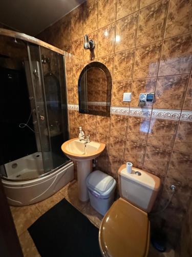 a bathroom with a sink and a toilet and a shower at agroturystyka Pensjonat PAULA in Muszyna