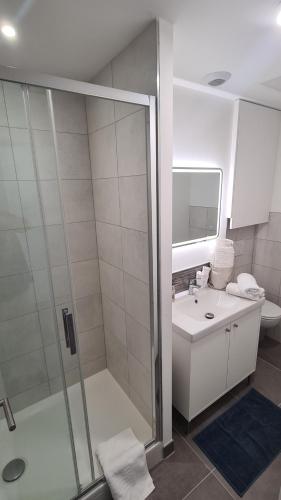 a bathroom with a shower and a sink at Studio moderne Climatisé Meylan centre proche CHU in Meylan
