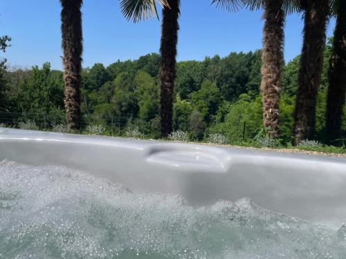 a bath tub with water in front of palm trees at Oasi del Silenzio a Piea in Piea