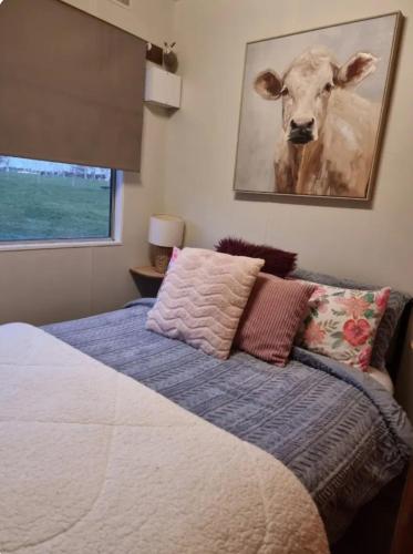 a bedroom with a bed with a picture of a cow at Farmstay in Elingamite North