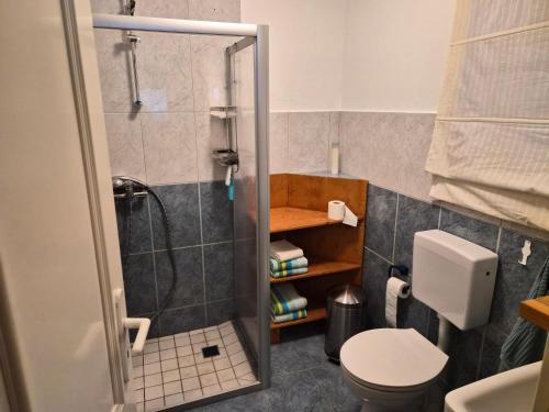 a bathroom with a shower and a toilet at Ferienwohnung Am Spröckel in Bleckede