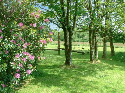 a group of trees with pink flowers and a fence at Oak Lodge - Uk49400 in Pembrokeshire