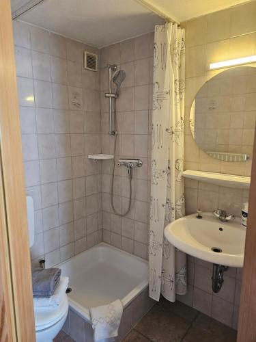 a bathroom with a tub and a sink and a toilet at Haus zur Ölmühle 2 in Steinsfeld