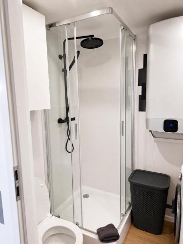 a bathroom with a shower and a toilet at Domeček u Prahy in Nupaky