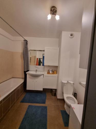 Charmante apartament près de centre ville