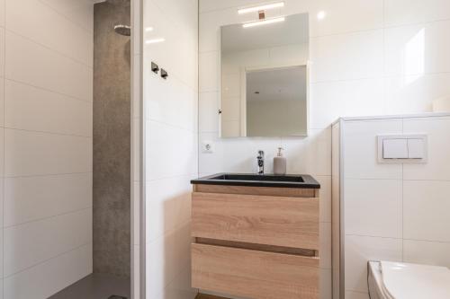 a bathroom with a sink and a mirror at Tiny House with decking | 2 persons in Gasselte