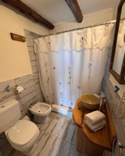 a bathroom with a toilet and a sink at Cabañas Luna Lunera in Tandil