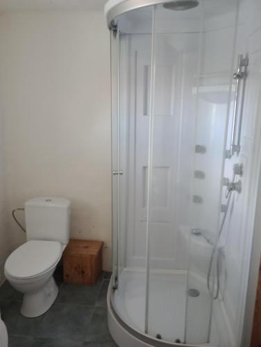 a bathroom with a toilet and a glass shower at Ferienhaus Lehmhaus in Häven