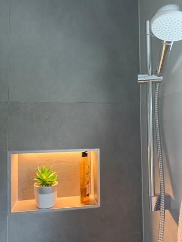 a shower shelf with a bottle of soap and a plant at Apartmani Grguric in Kornić