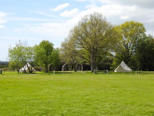 a field of green grass with tents in the background at Chestnut Meadow Camping & Glamping in Sidley