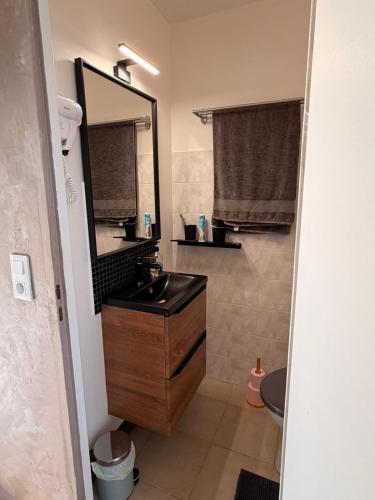 a bathroom with a sink and a mirror at La Perle Rare in La Barthe