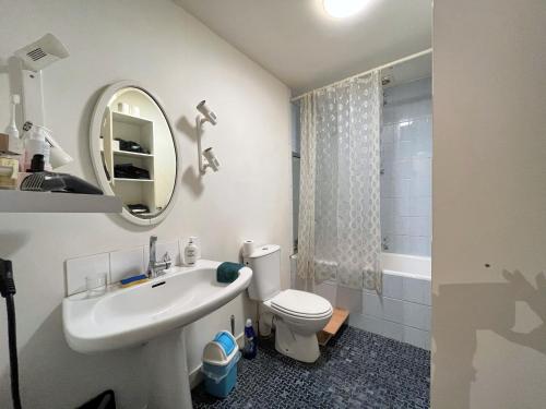 a bathroom with a sink and a toilet and a mirror at Gîte de la cathédrale 2 in Condom