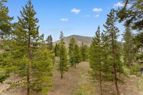 a forest of pine trees with mountains in the background at Pines #2041 : 2 in Keystone