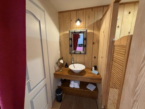 a bathroom with a sink and a mirror at le Relais de la Cavayere - Chambres d'hôtes avec SPA & SAUNA Carcassonne - Parking privé ferme in Carcassonne