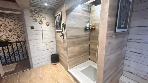 a walk in shower in a bathroom with wooden walls at Ferienwohnung Meise in Sundern