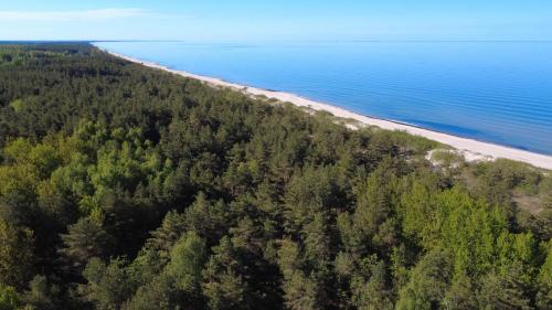an aerial view of a beach and the ocean at Papės Perlas in Pape