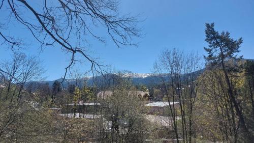 Apartament Misio