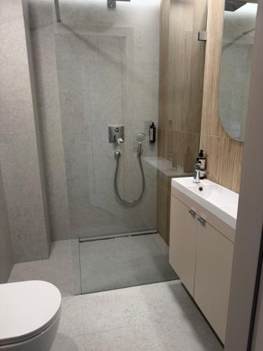 a bathroom with a shower with a toilet and a sink at Apartament Sosnowy 45 in Rowy