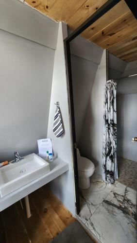 a bathroom with a sink and a toilet at Cabaña AlpinA Ixmiquilpan in Ixmiquilpan