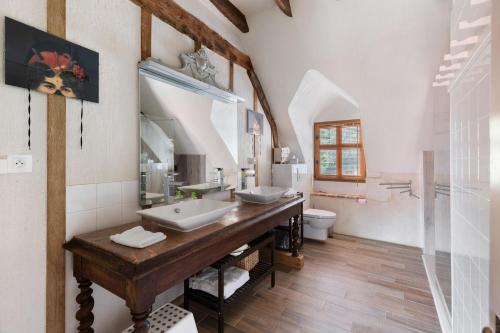 a bathroom with a sink and a mirror at Le Trianon Isabelle de Maillé - in Cravant-les-Coteaux
