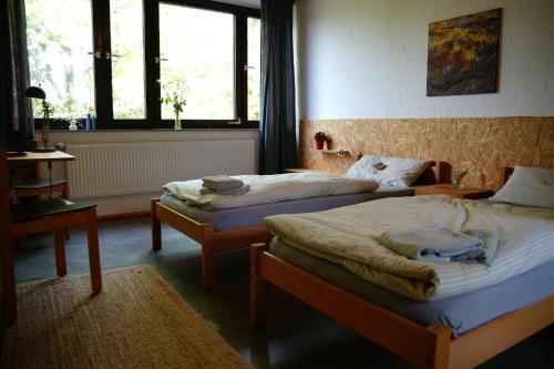 two beds in a room with two windows at Gästehaus am Sternberg in Gomadingen