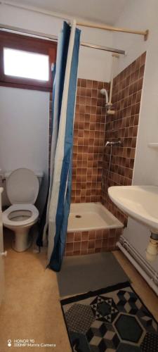 a bathroom with a shower and a toilet and a sink at L'Ancien Temps in Ustou