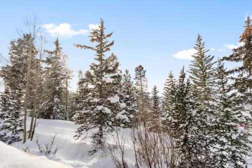 a group of trees with snow on them at Rockridge #51 in Breckenridge