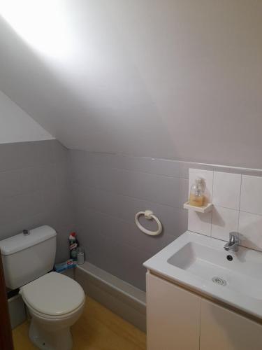 ein Badezimmer mit weißer Toilette und Waschbecken in der Unterkunft Chambre d'hôte 4 personnes in Magnien