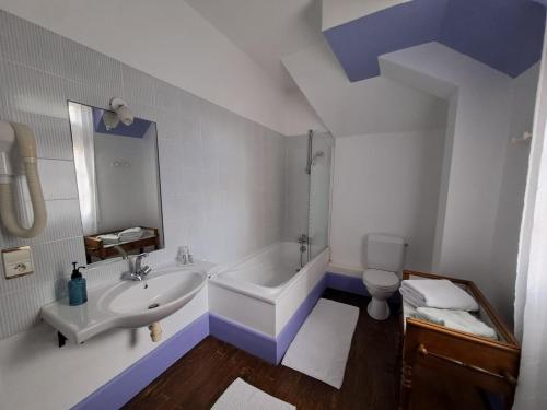 a bathroom with a sink and a tub and a toilet at Château de la Redortière in Lézignac-Durand